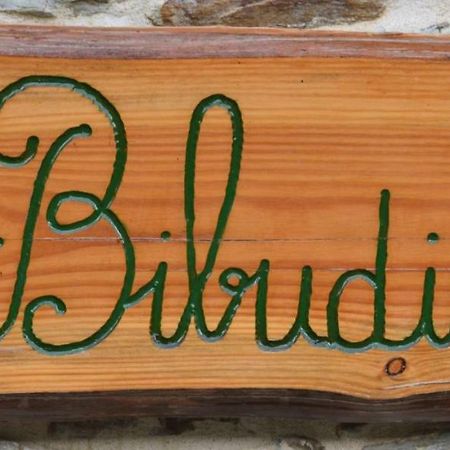 Gites De La Bibudiere Le Boupère 外观 照片